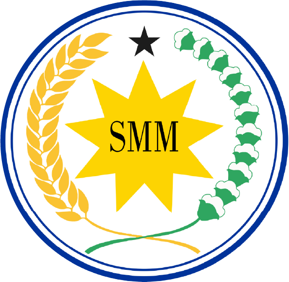 SMM